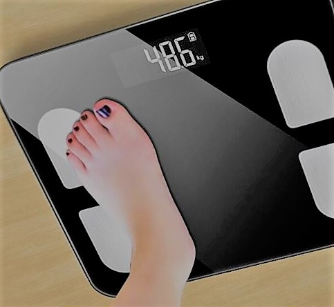 programme perte de poids